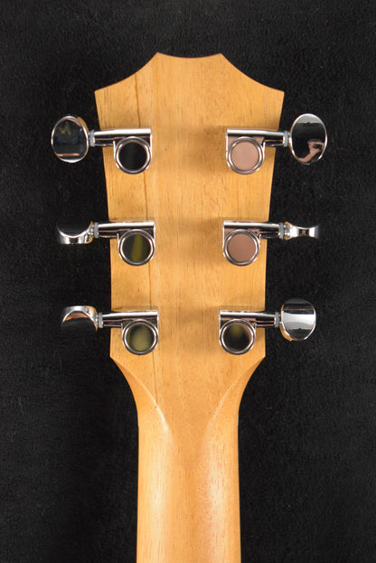 Taylor GS Mini