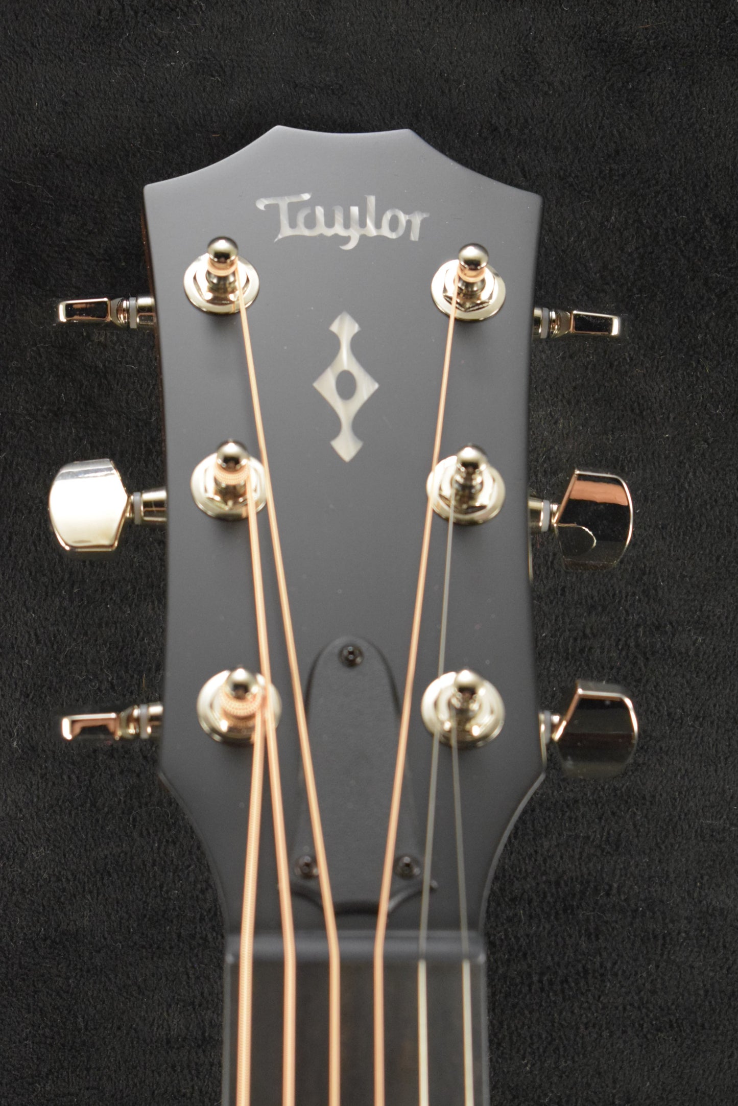 Taylor Next Generation 414ce Indian Rosewood Natural