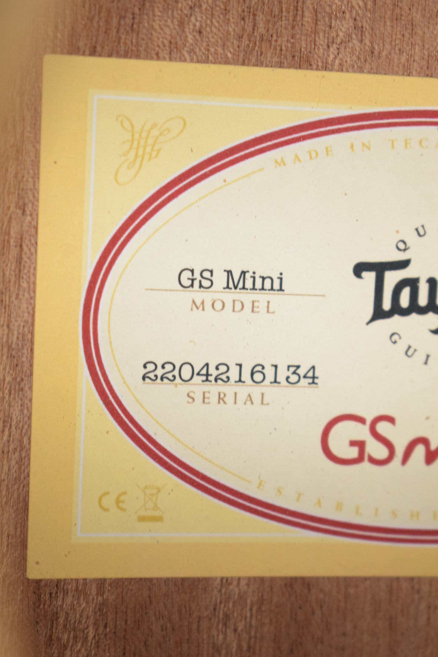 Taylor GS Mini