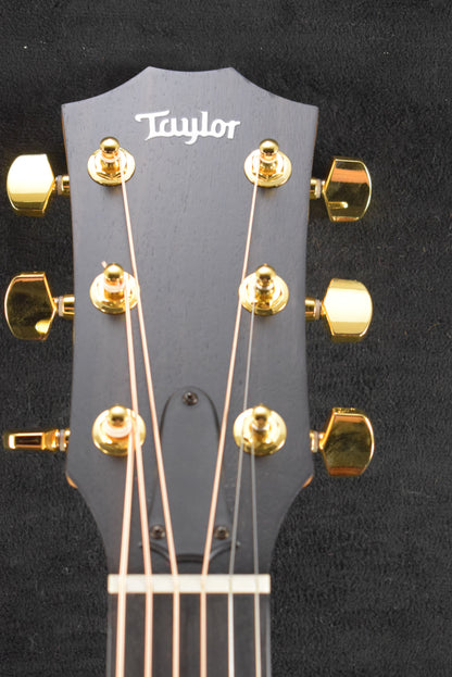 Taylor 224ce-K DLX Shaded Edgeburst
