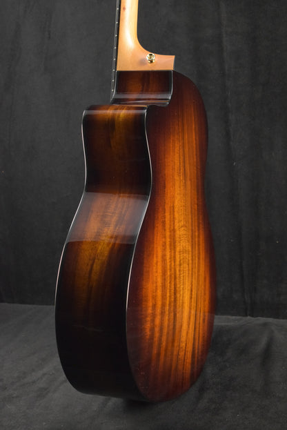 Taylor 224ce-K DLX Shaded Edgeburst