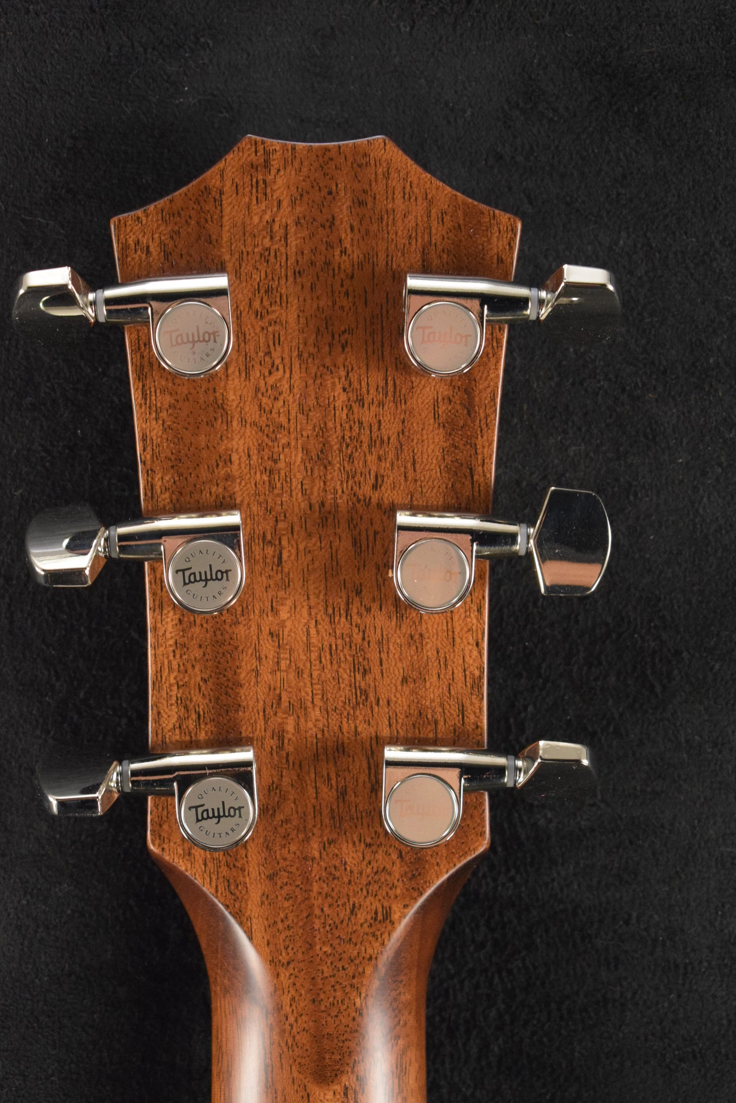 Taylor Next Generation 414ce Indian Rosewood Natural