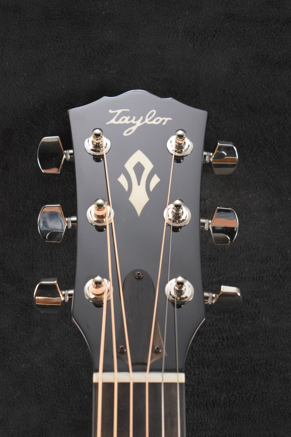 Taylor Gold Label 717e Natural