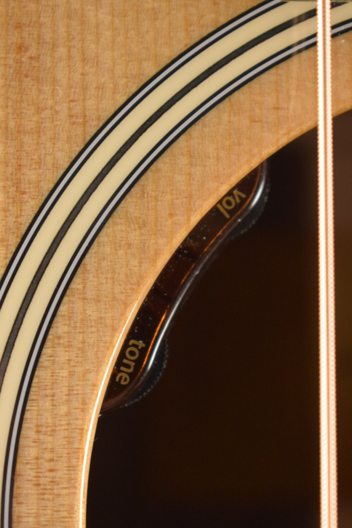 Taylor Gold Label 717e Natural