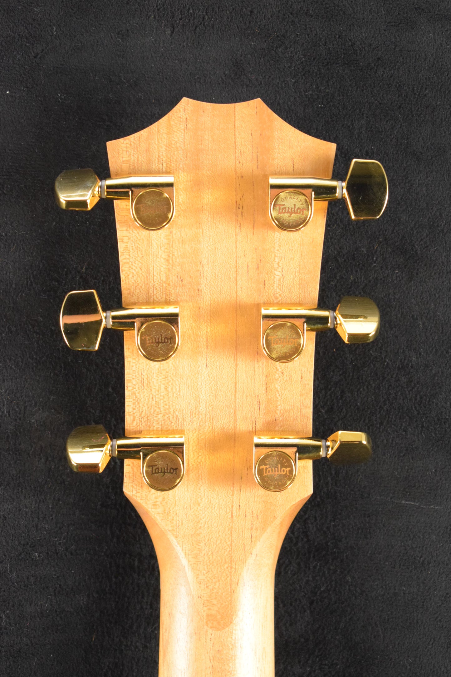 Taylor 224ce-K DLX Shaded Edgeburst