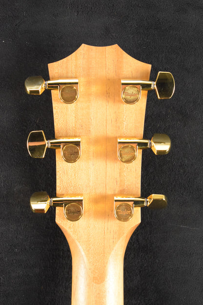 Taylor 224ce-K DLX Shaded Edgeburst