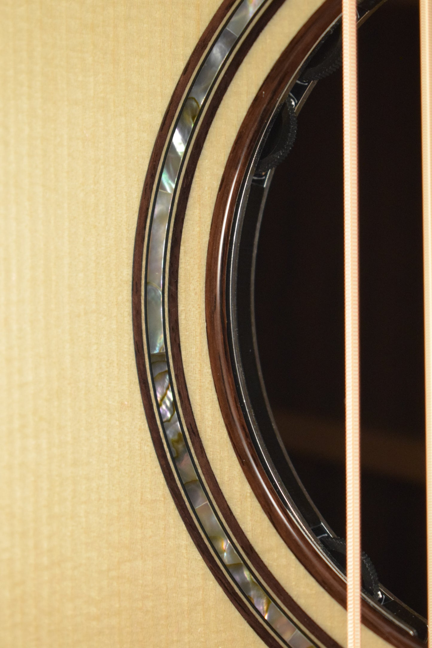 Taylor Next Generation Builder's Edition 814ce Indian Rosewood/Adirondack Spruce