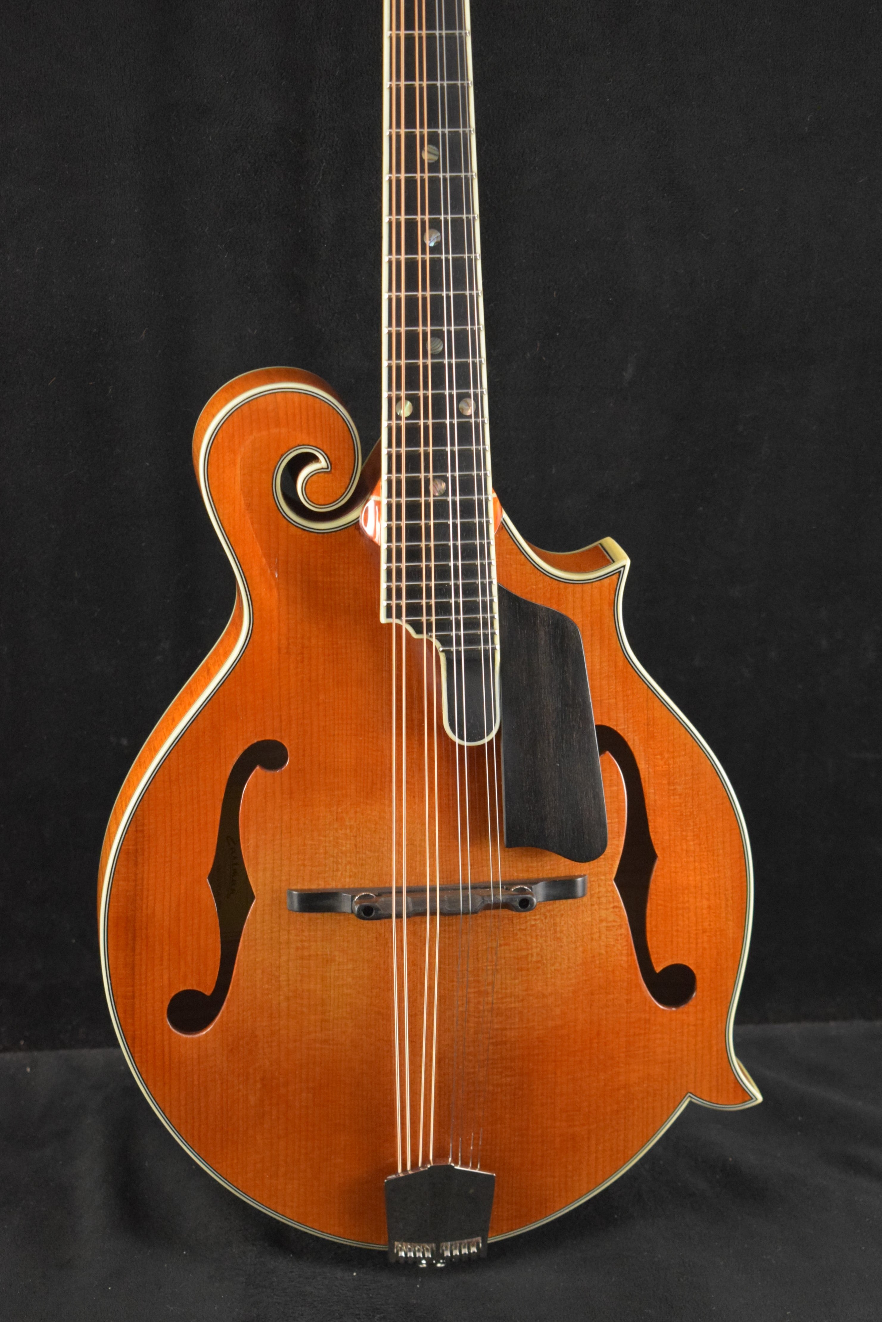 Eastman MD815PGE-HB F-Style F-Hole Electric Mandolin Honeyburst