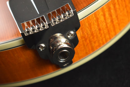 Eastman MD815PGE-HB F-Style F-Hole Electric Mandolin Honeyburst Gloss