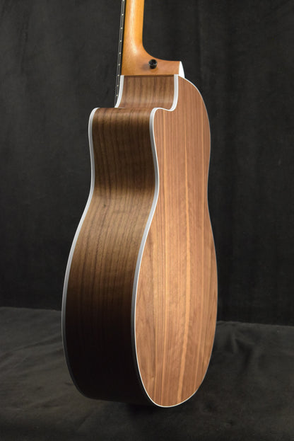 Taylor 214ce-N Nylon-String Natural
