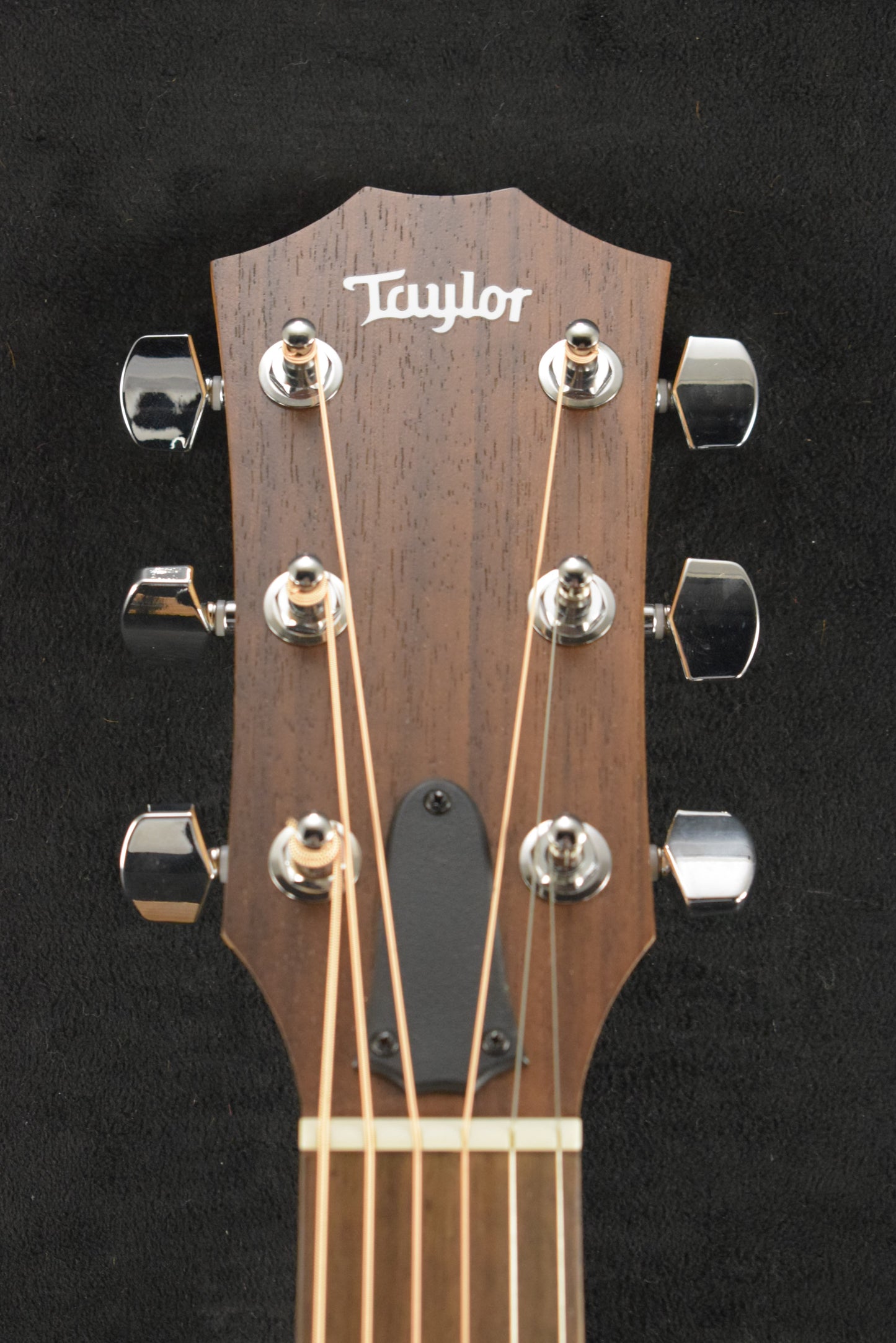 Taylor Academy 10e Dreadnought Walnut/Torrefied Spruce Natural