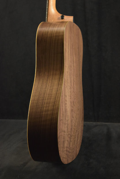 Taylor Academy 10e Dreadnought Walnut/Torrefied Spruce Natural