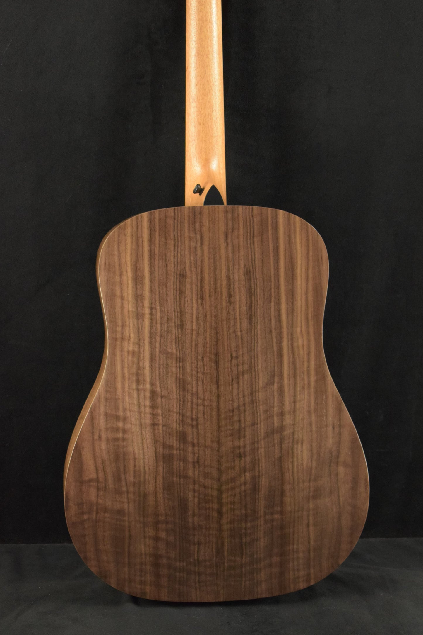 Taylor Academy 10e Dreadnought Walnut/Torrefied Spruce Natural