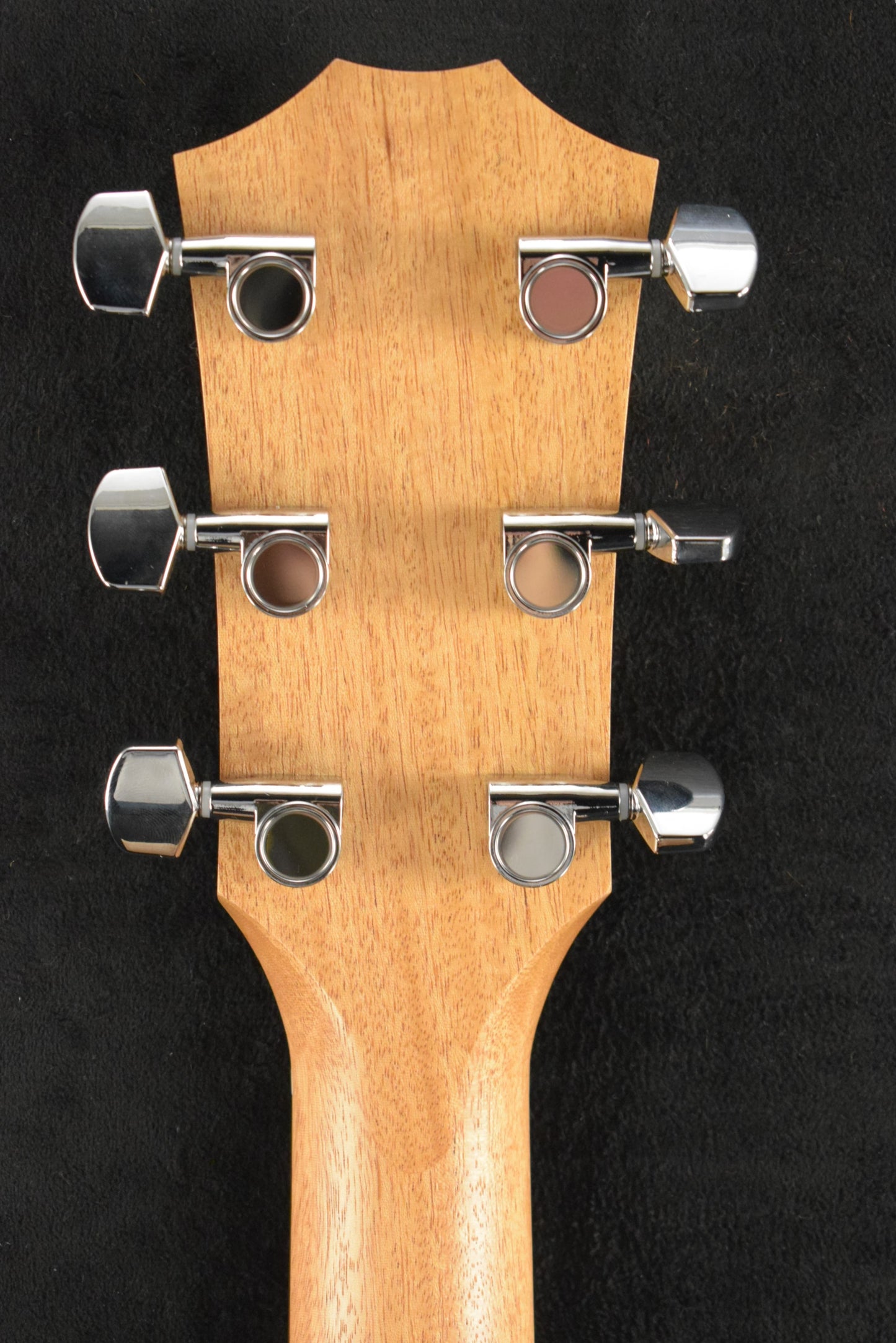 Taylor Academy 10e Dreadnought Walnut/Torrefied Spruce Natural