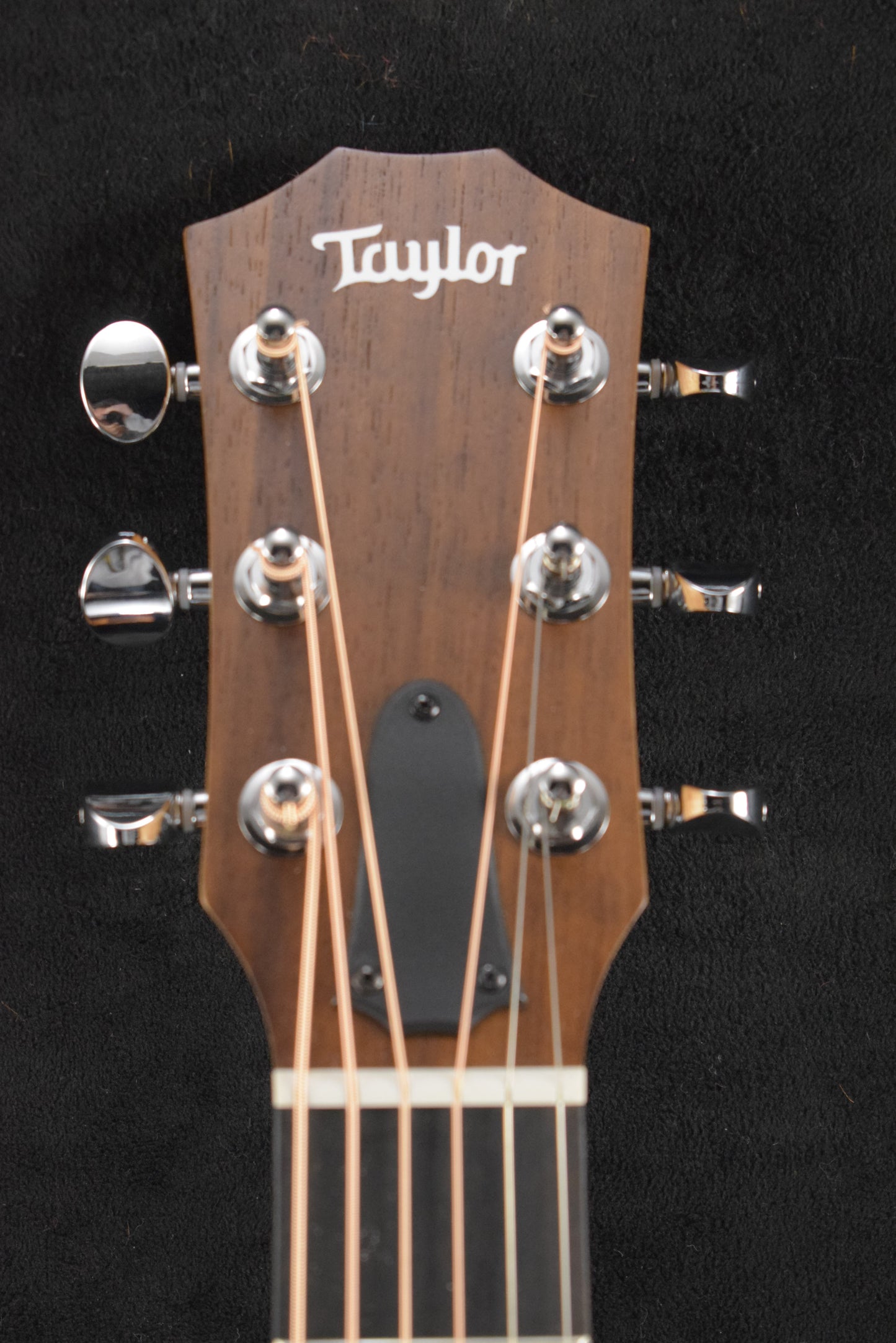 Taylor GS Mini Mahogany