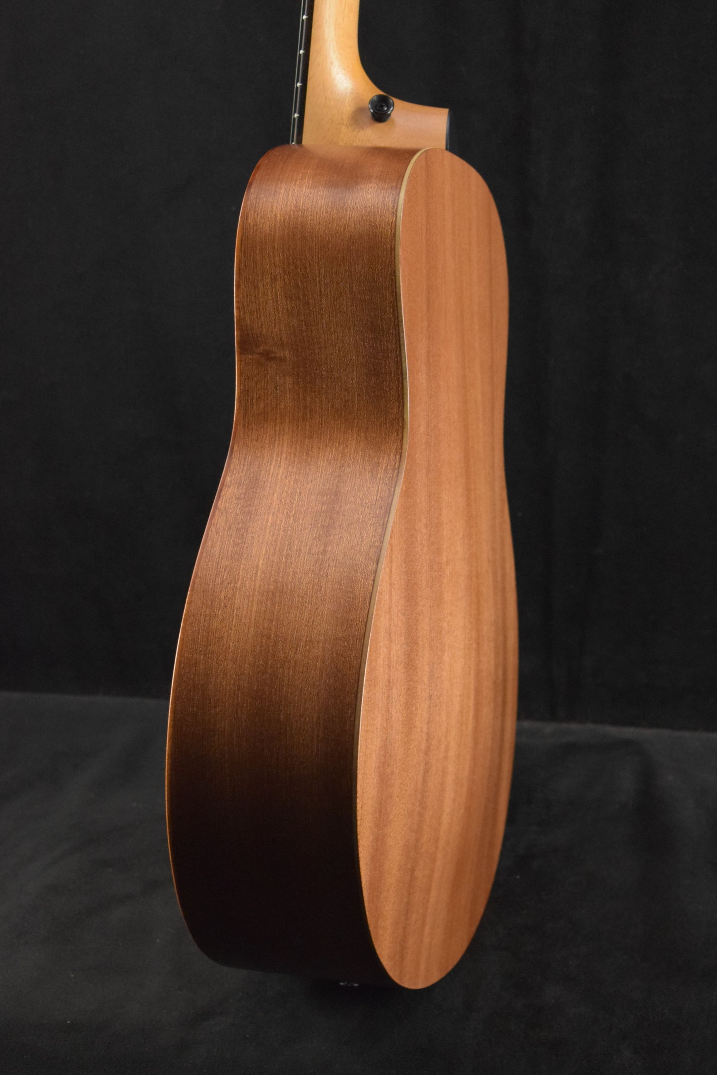 Taylor GS Mini Mahogany