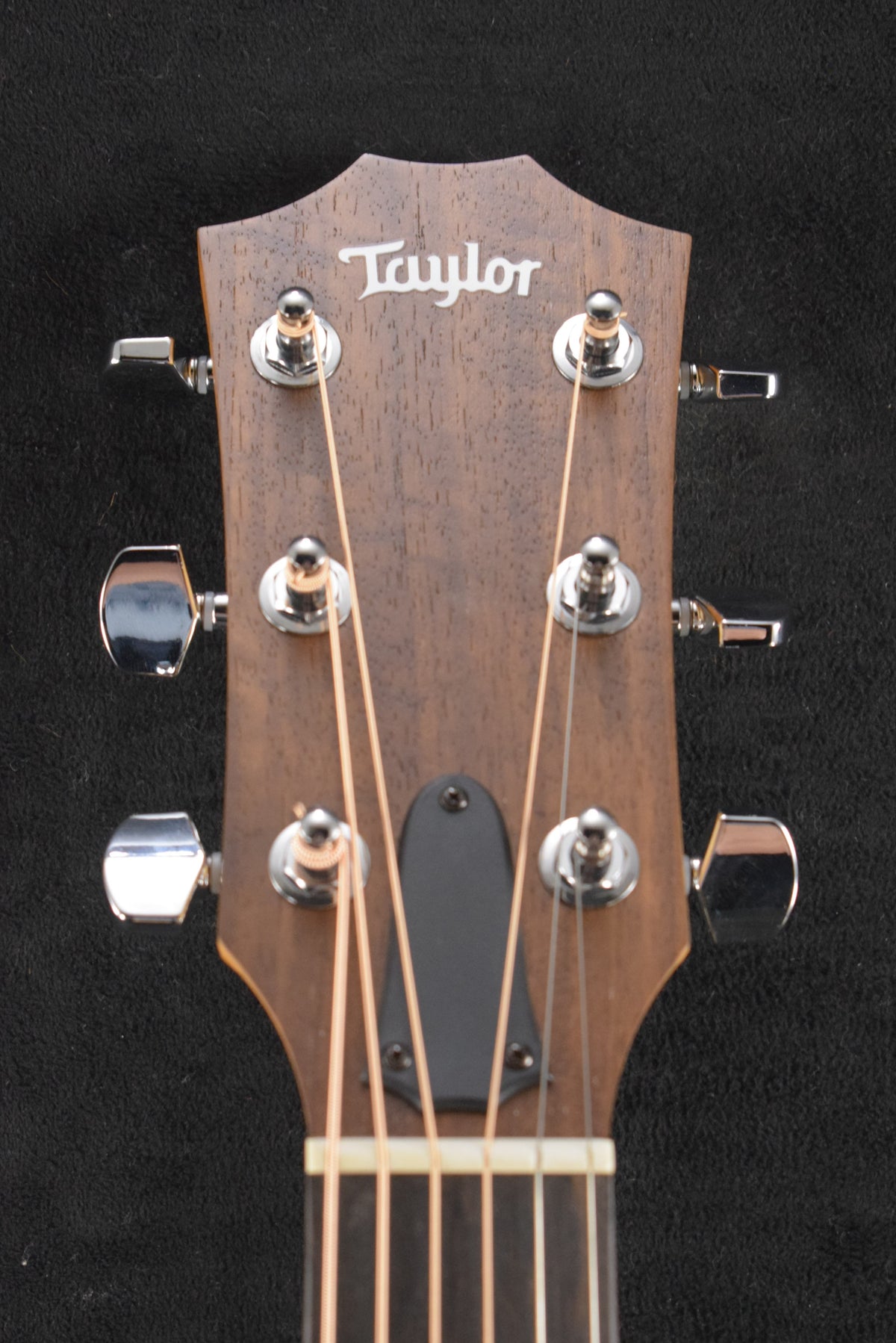 Taylor Academy 12e Natural