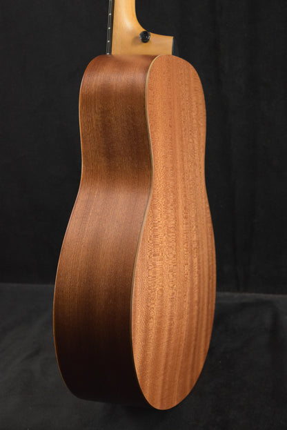 Taylor GS Mini Mahogany