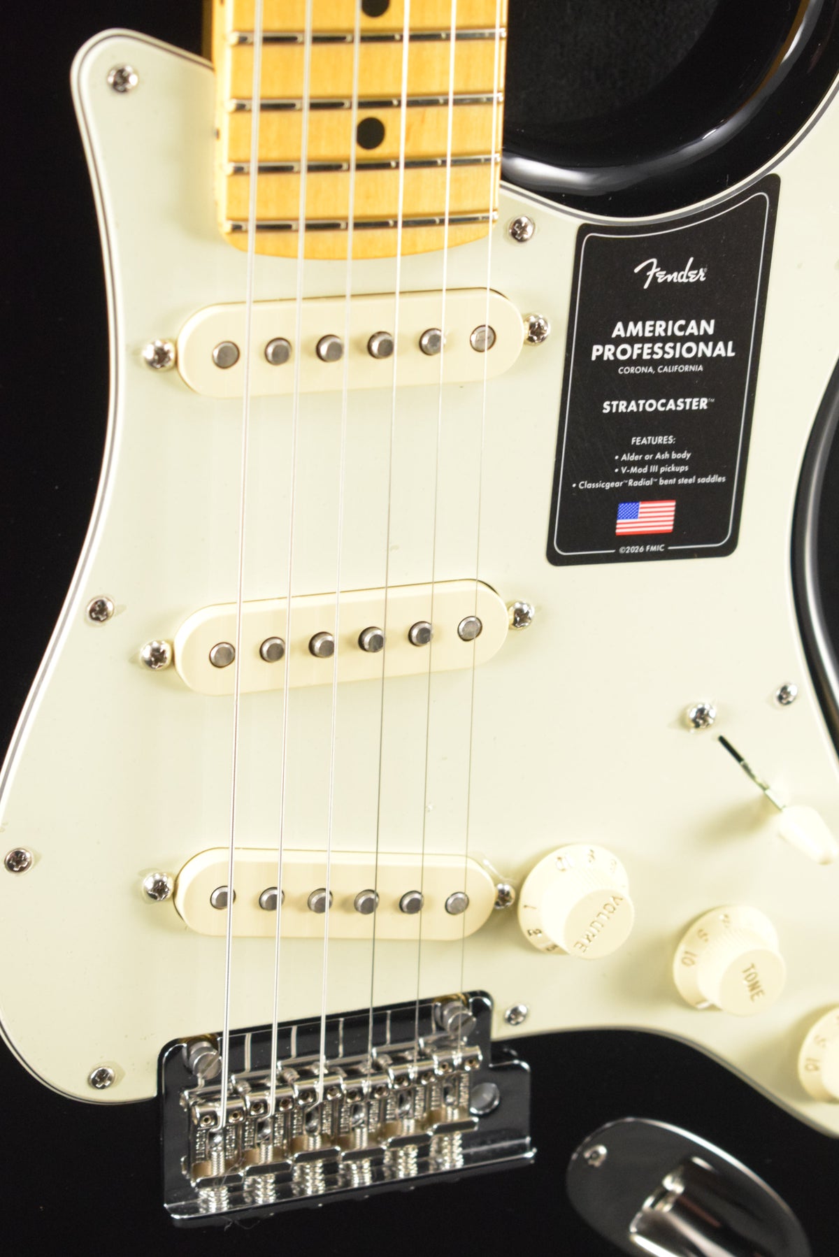 Fender American Professional Stratocaster Black Maple Fingerboard