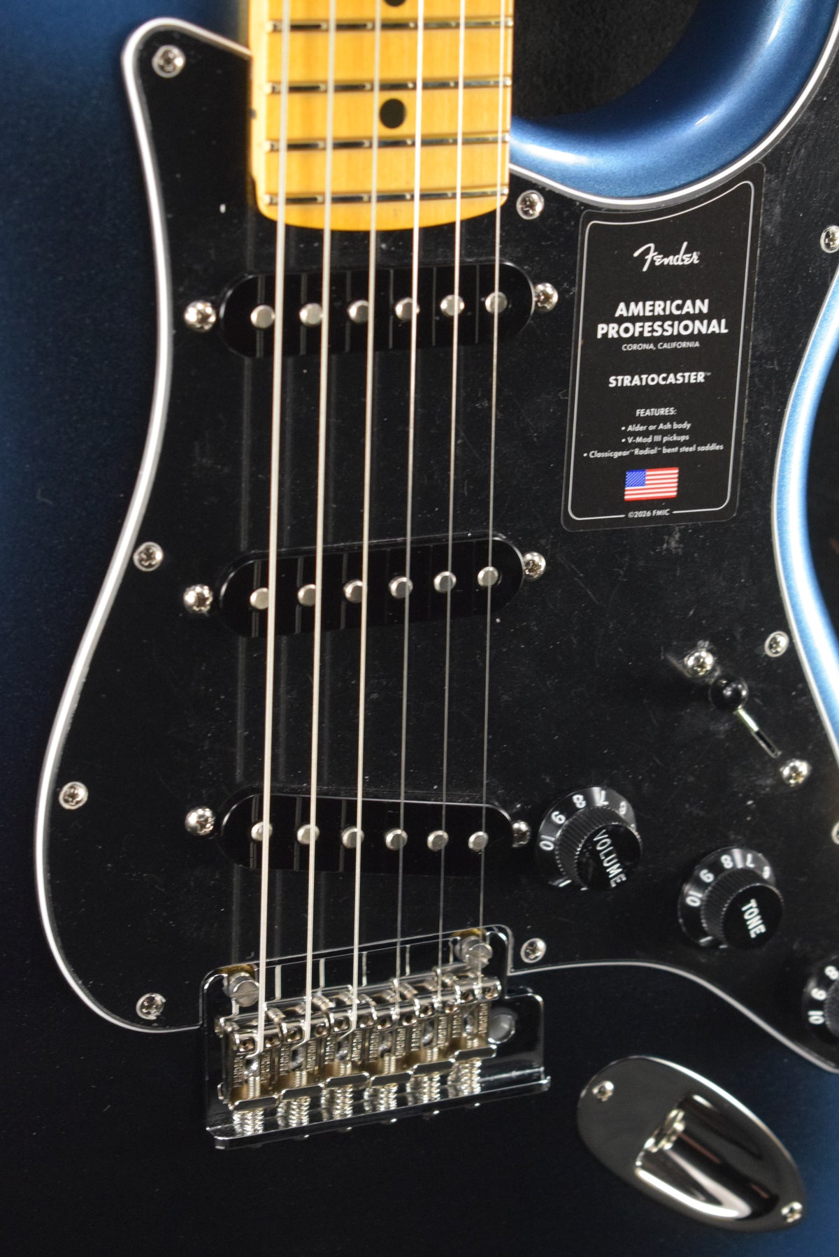 Fender American Professional Stratocaster Dark Night Maple Fingerboard
