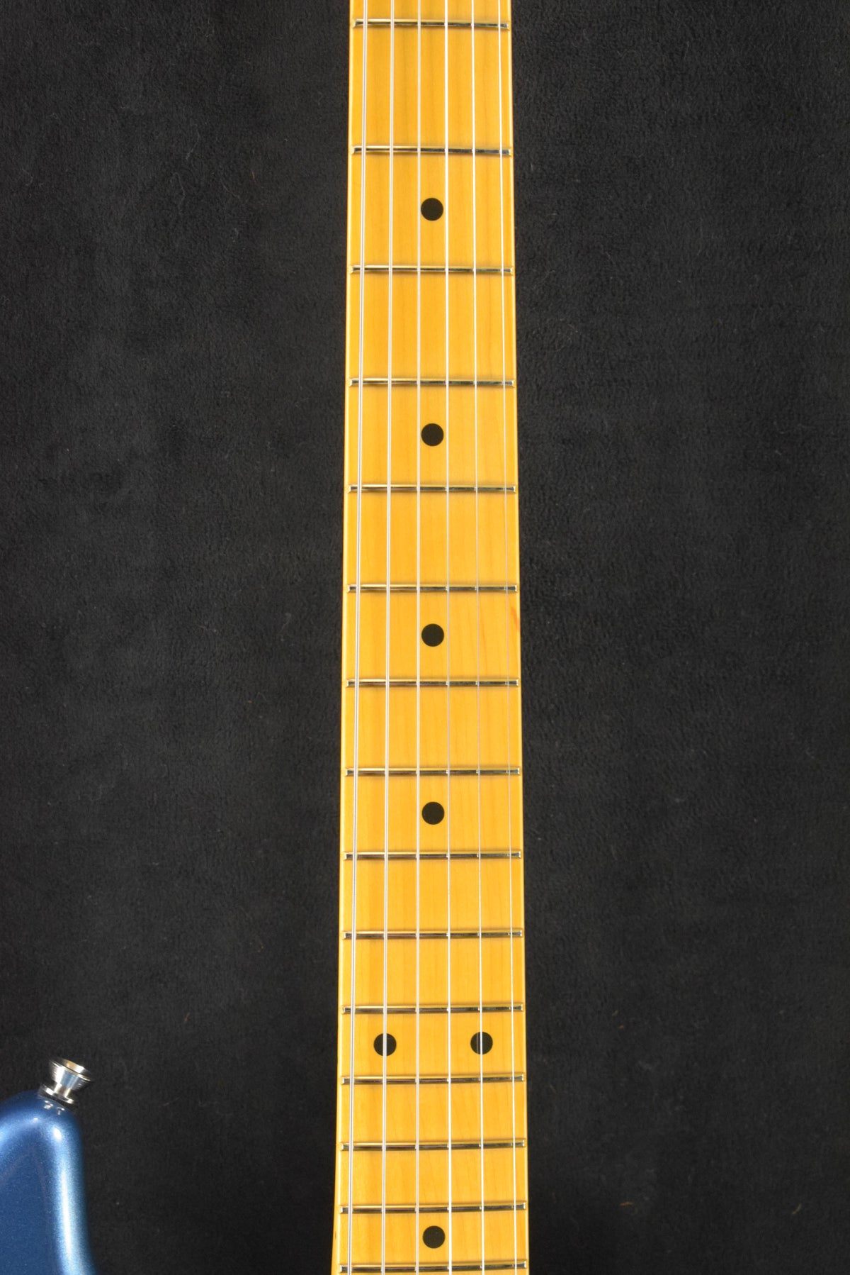 Fender American Professional Stratocaster Dark Night Maple Fingerboard