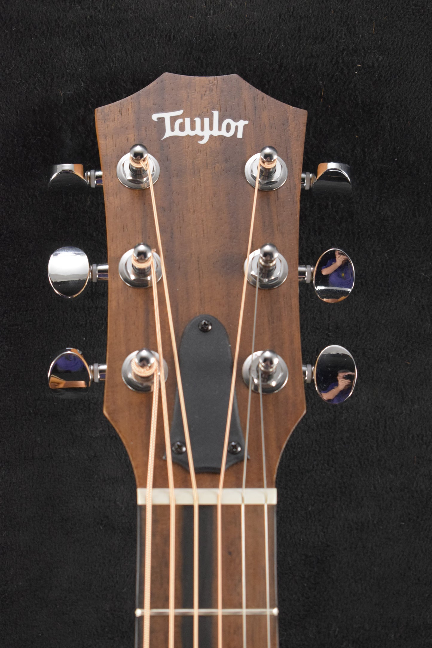 Taylor GS Mini-e Special Edition Floral Blue