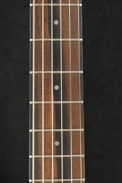 Taylor GS Mini-e Special Edition Floral Blue