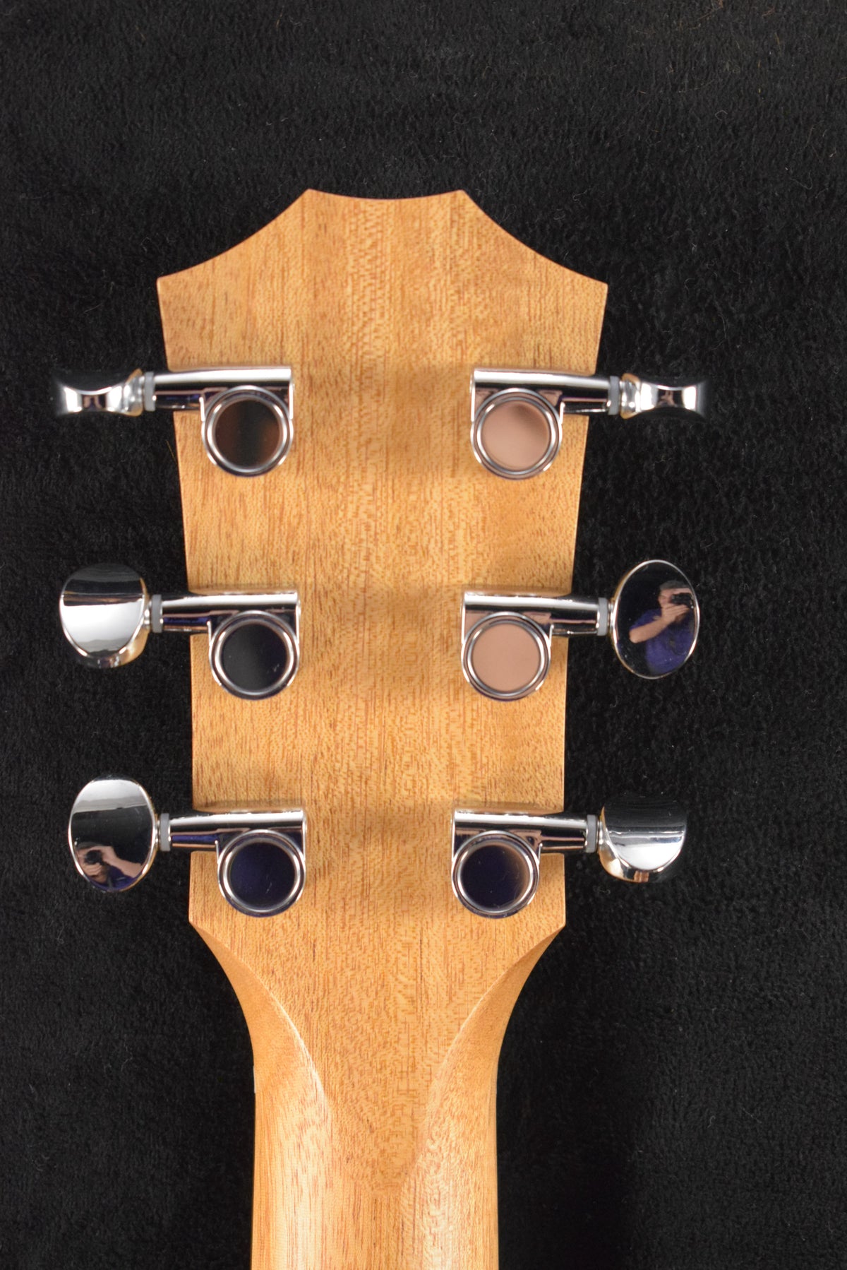 Taylor GS Mini-e Special Edition Floral Blue