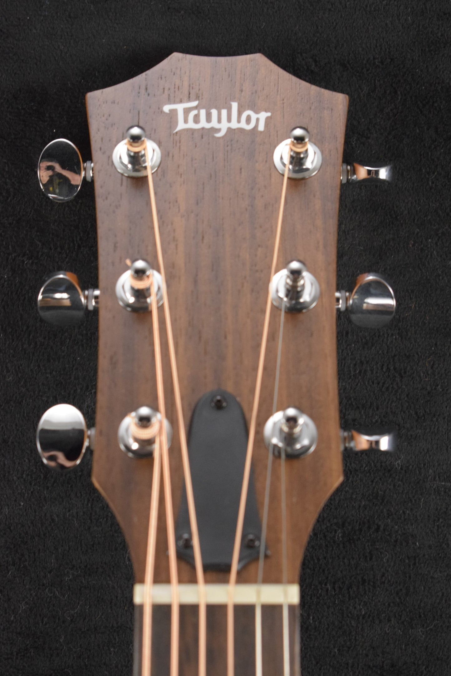 Taylor BBTe Big Baby Taylor Walnut/Sitka Spruce Natural