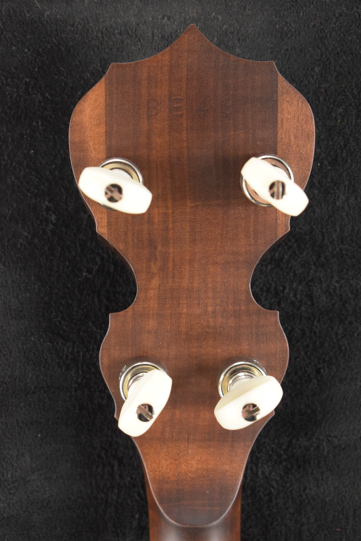 Deering Sierra 5-String Maple Banjo