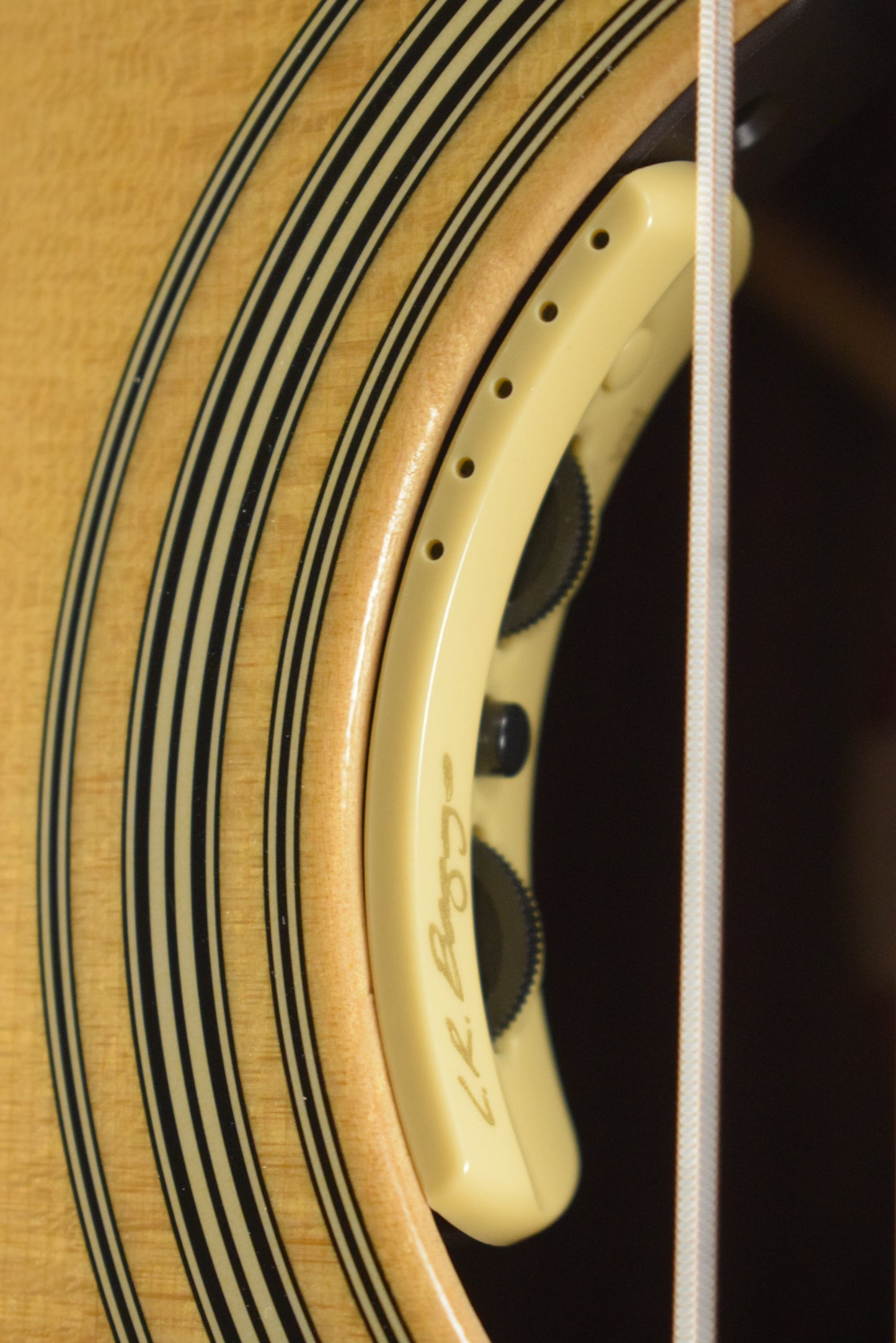 Martin SC-28E LR Baggs Anthem Electronics