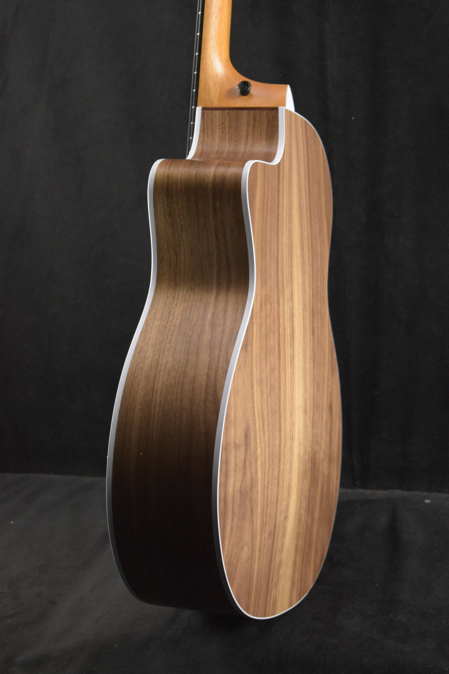 Taylor 214ce-N Nylon-String Natural