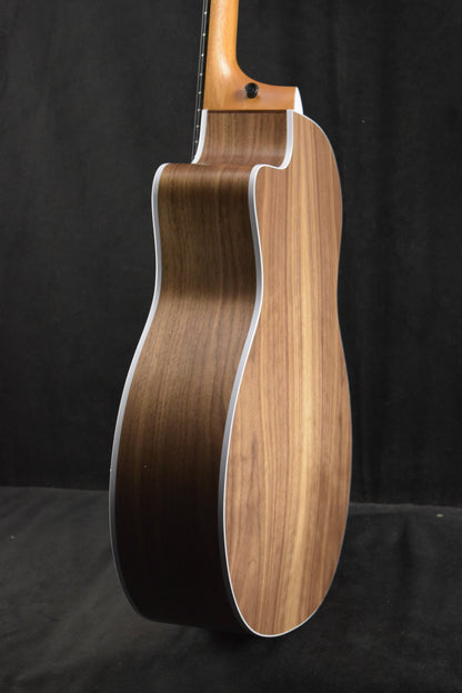 Taylor 214ce-N Nylon-String Natural