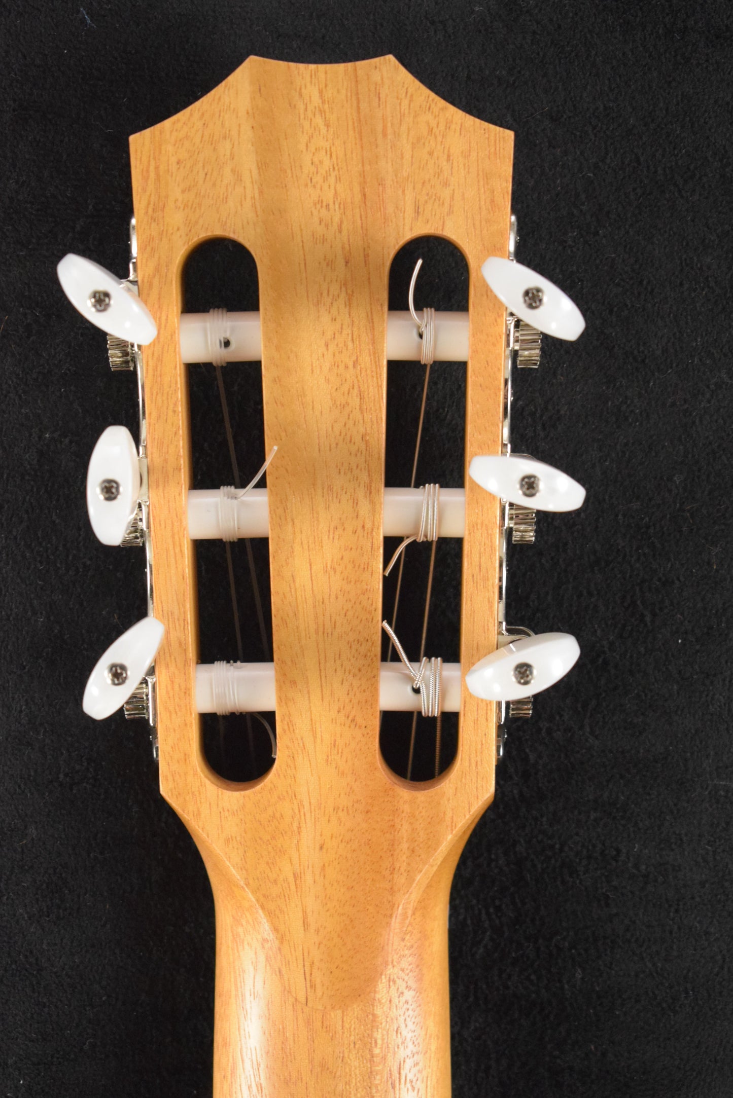 Taylor 214ce-N Nylon-String Natural