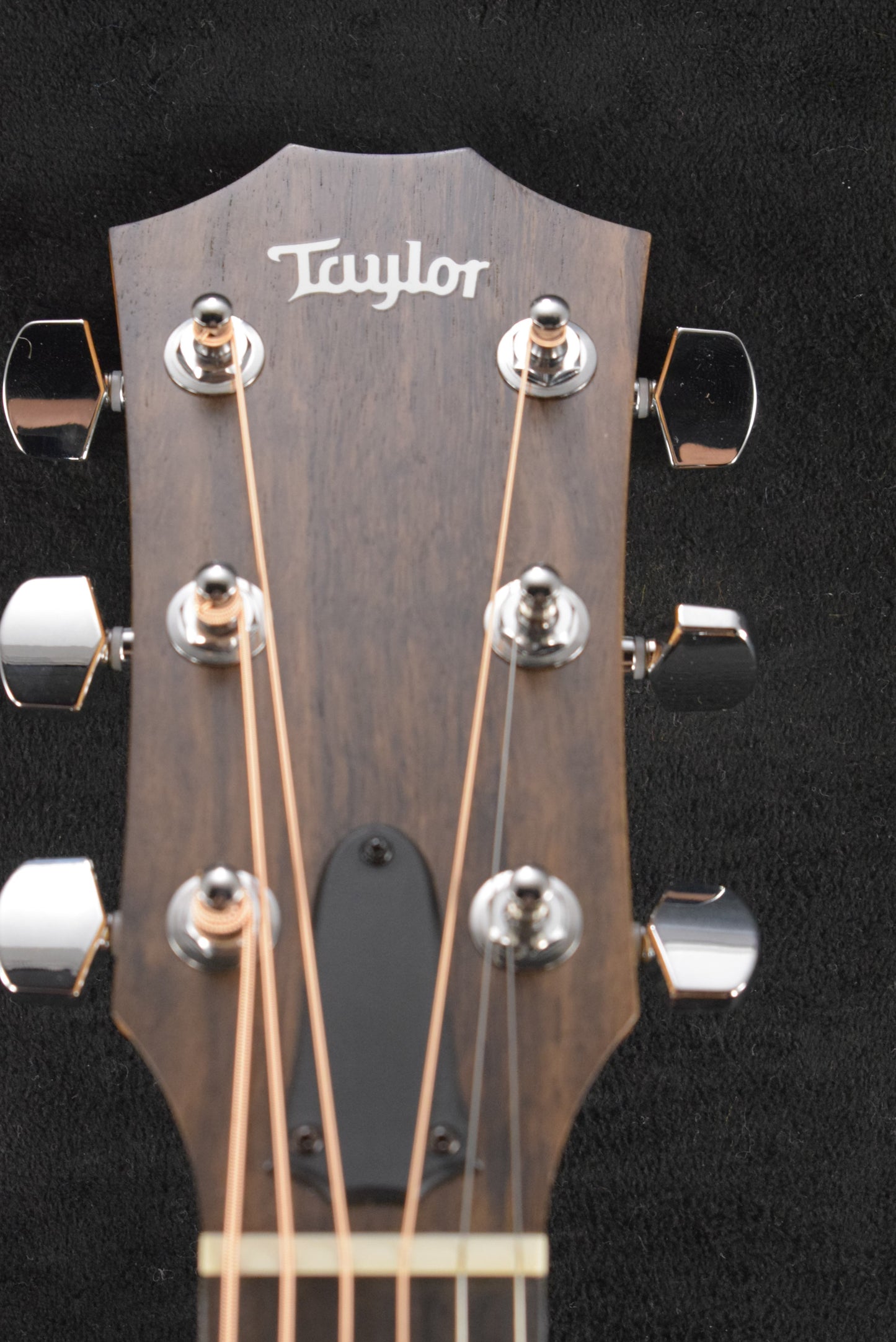 Taylor 114ce Sapele/Torrefied Spruce Natural