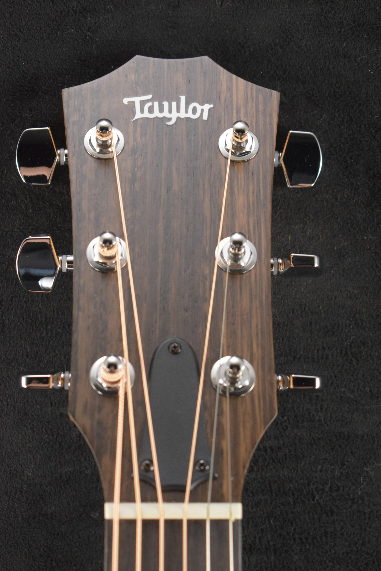 Taylor 114ce Sapele/Torrefied Spruce Natural