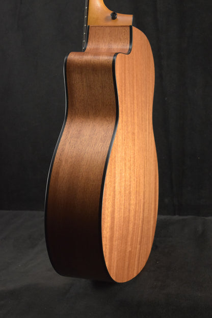 Taylor 114ce Sapele/Torrefied Spruce Natural
