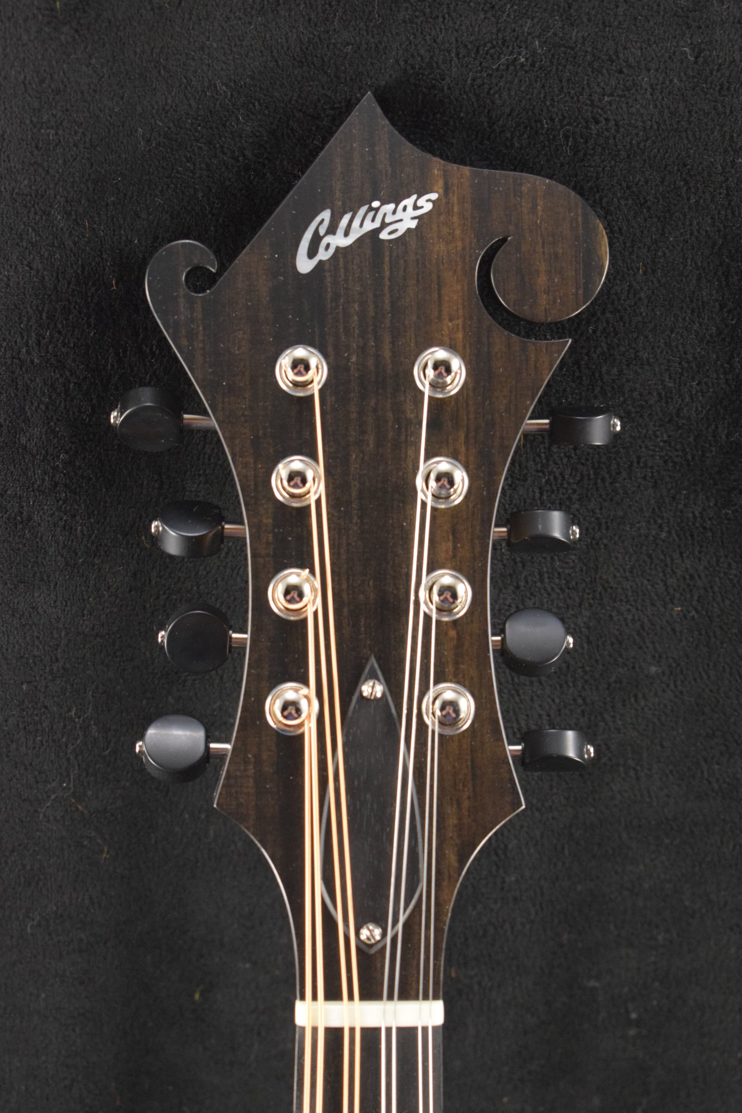 Collings MF Satin F-Style Mandolin