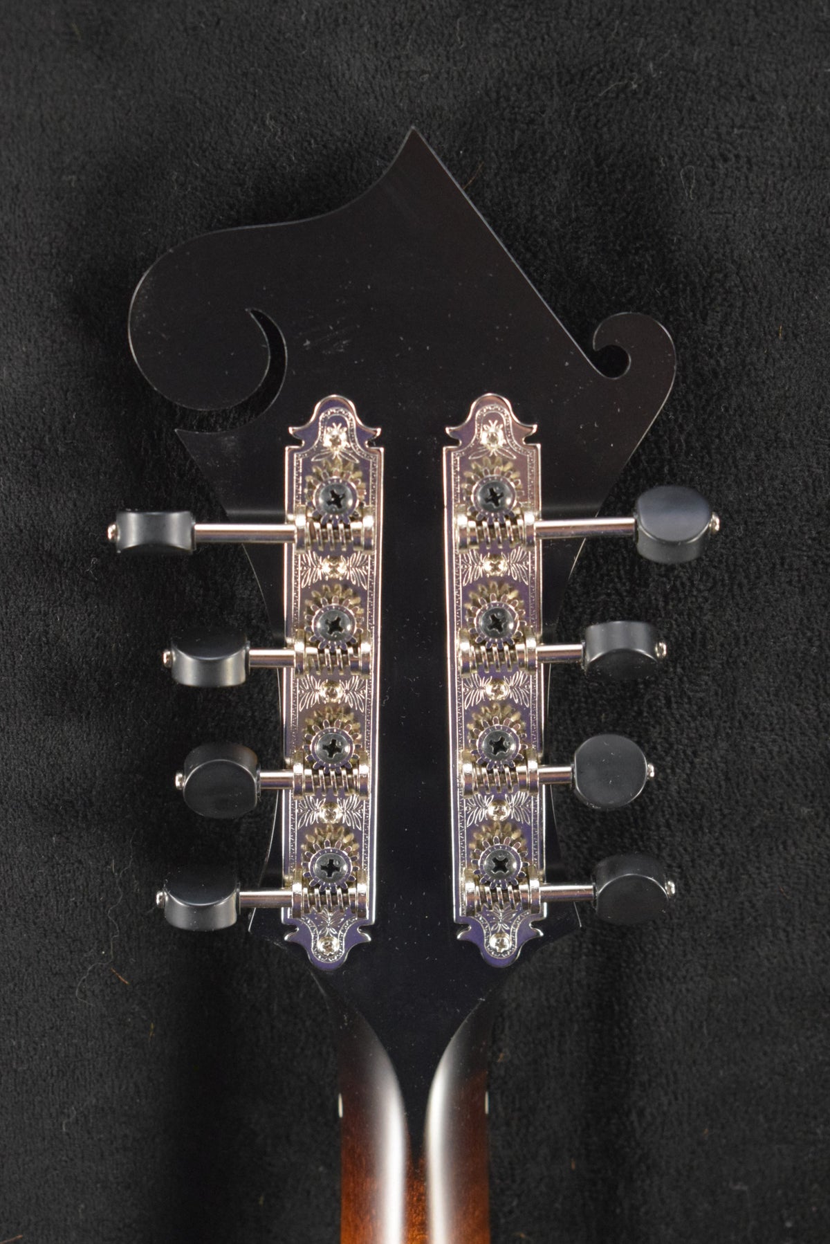 Collings MF Satin F-Style Mandolin