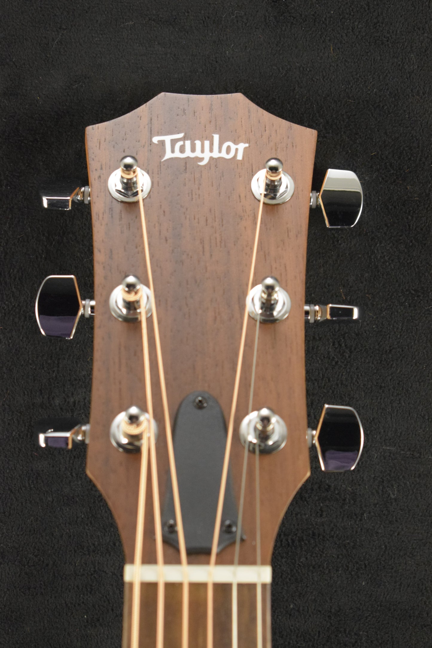 Taylor Academy 12e Natural