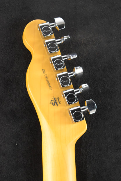 Fender American Professional Telecaster Black Maple Fingerboard