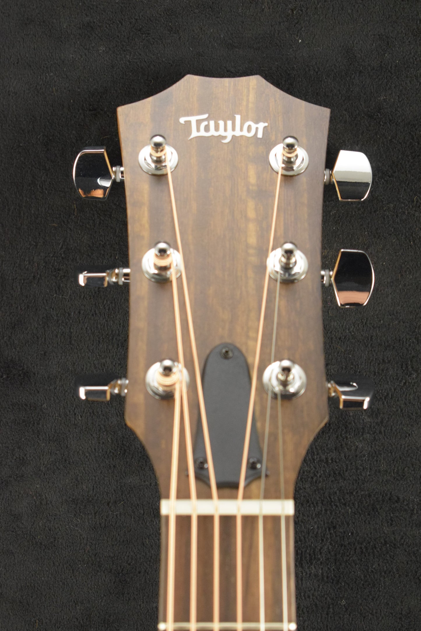 Taylor 114ce Sapele/Torrefied Spruce Natural