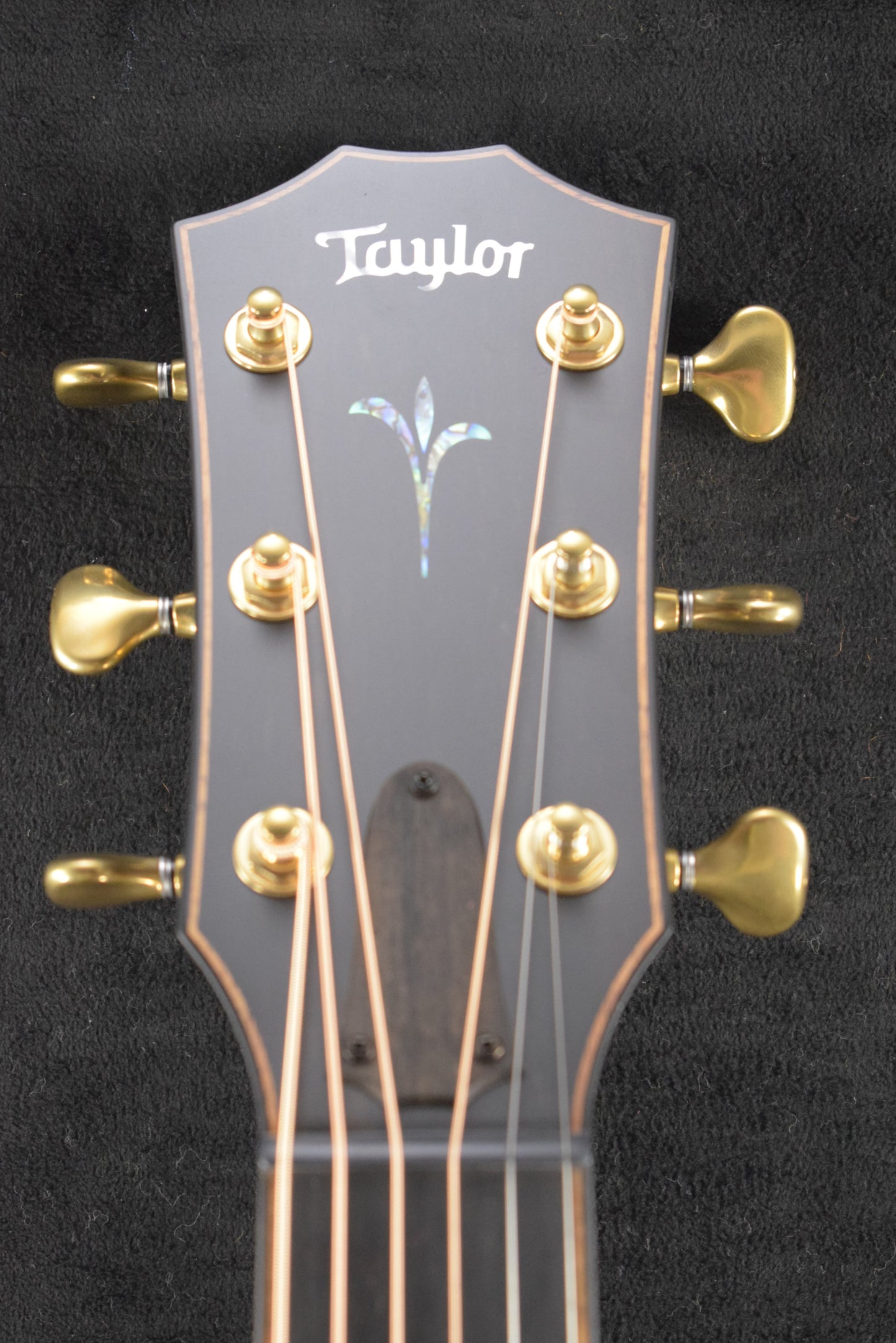 Taylor Next Generation Builder's Edition K24ce Kona Burst Gloss