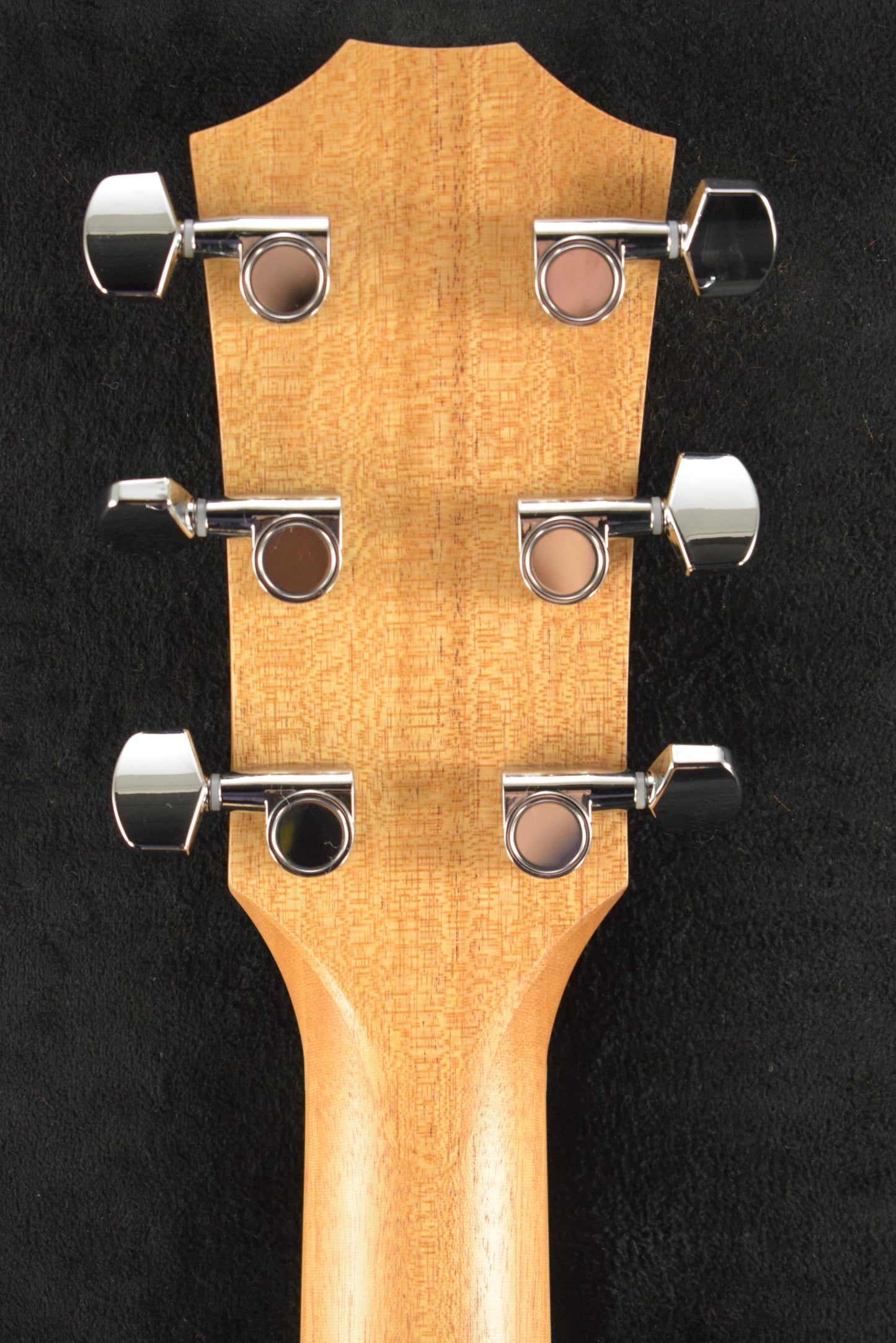 Taylor Academy 12e Natural