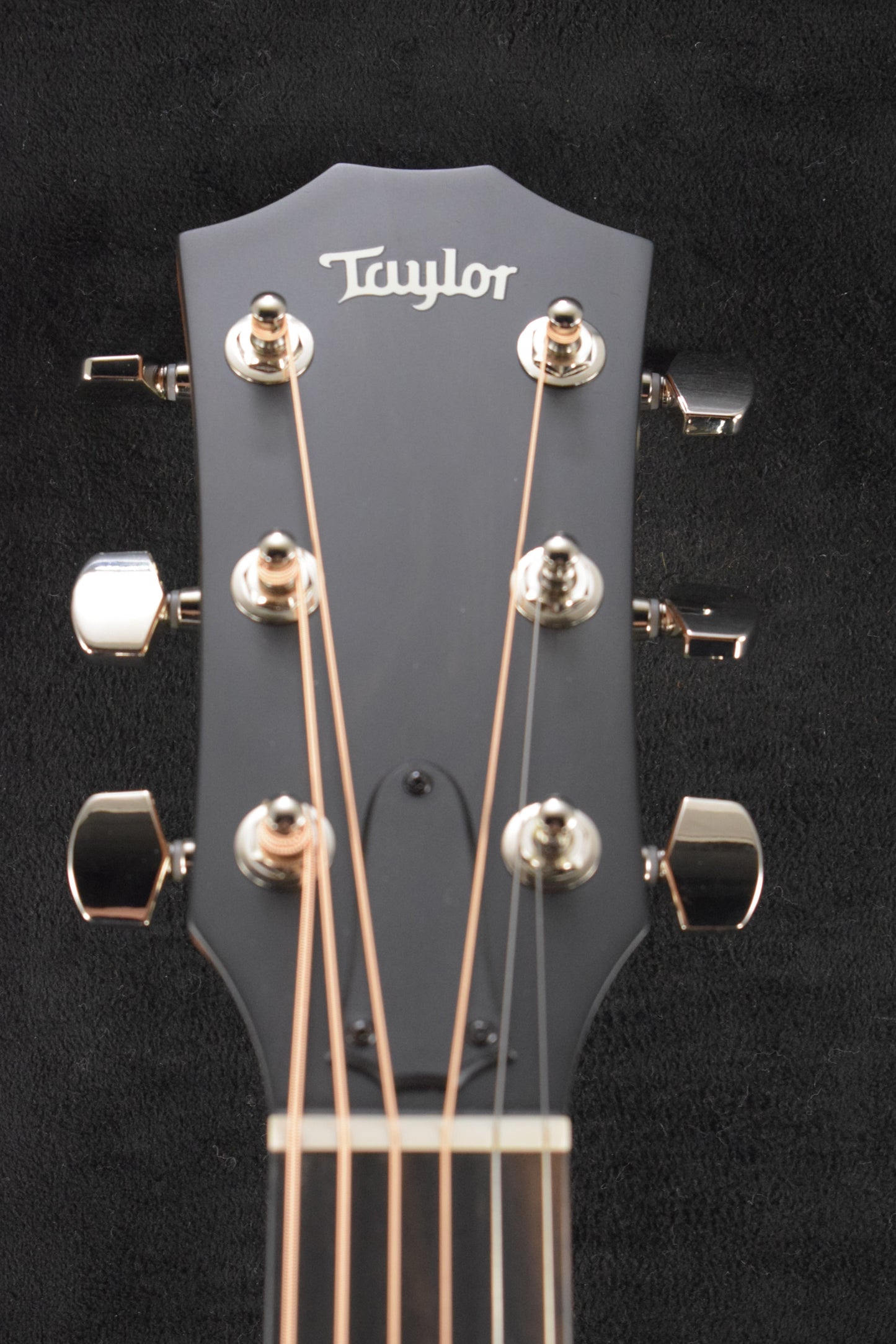 Taylor 414ce Studio Natural