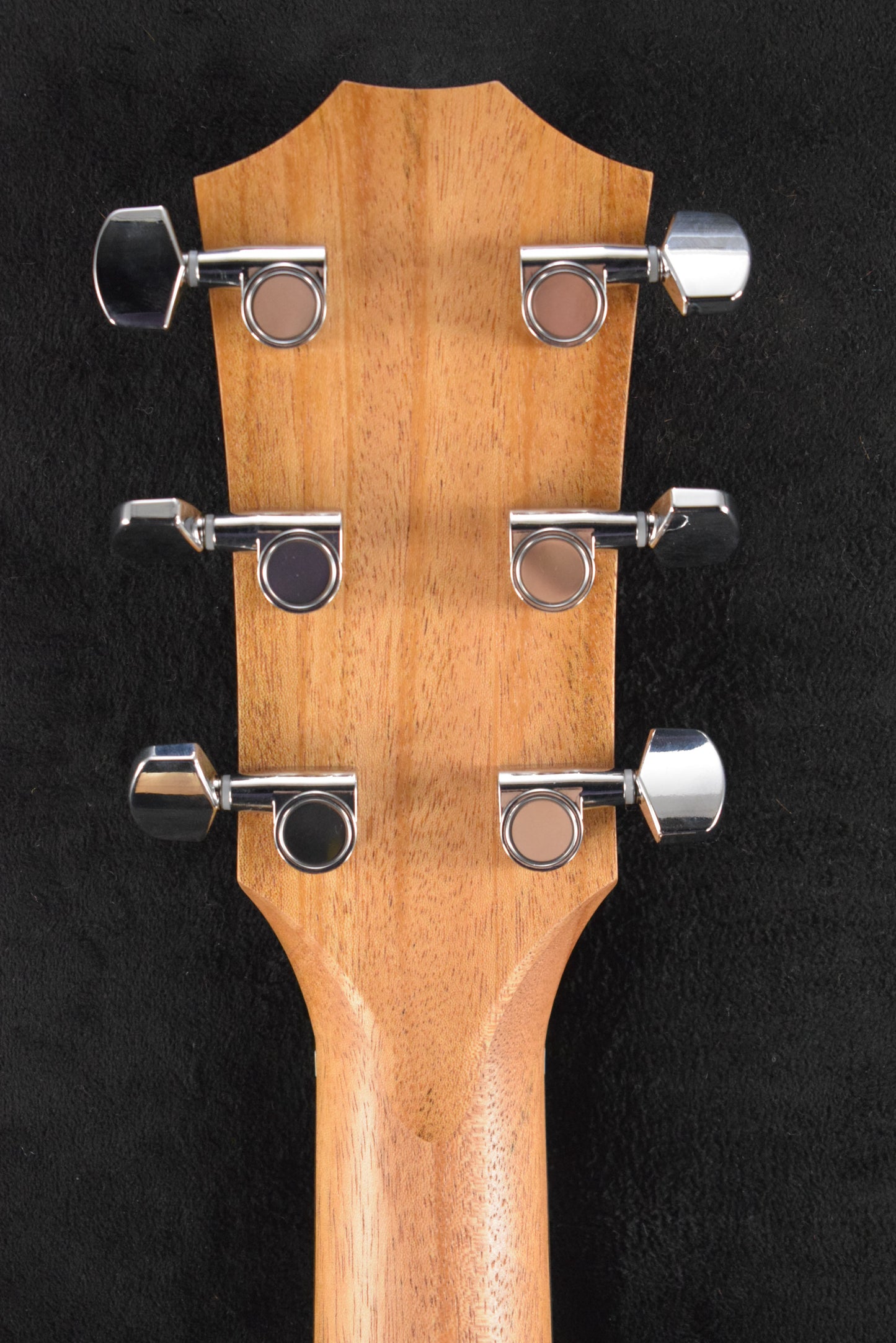 Taylor Academy 12e Natural