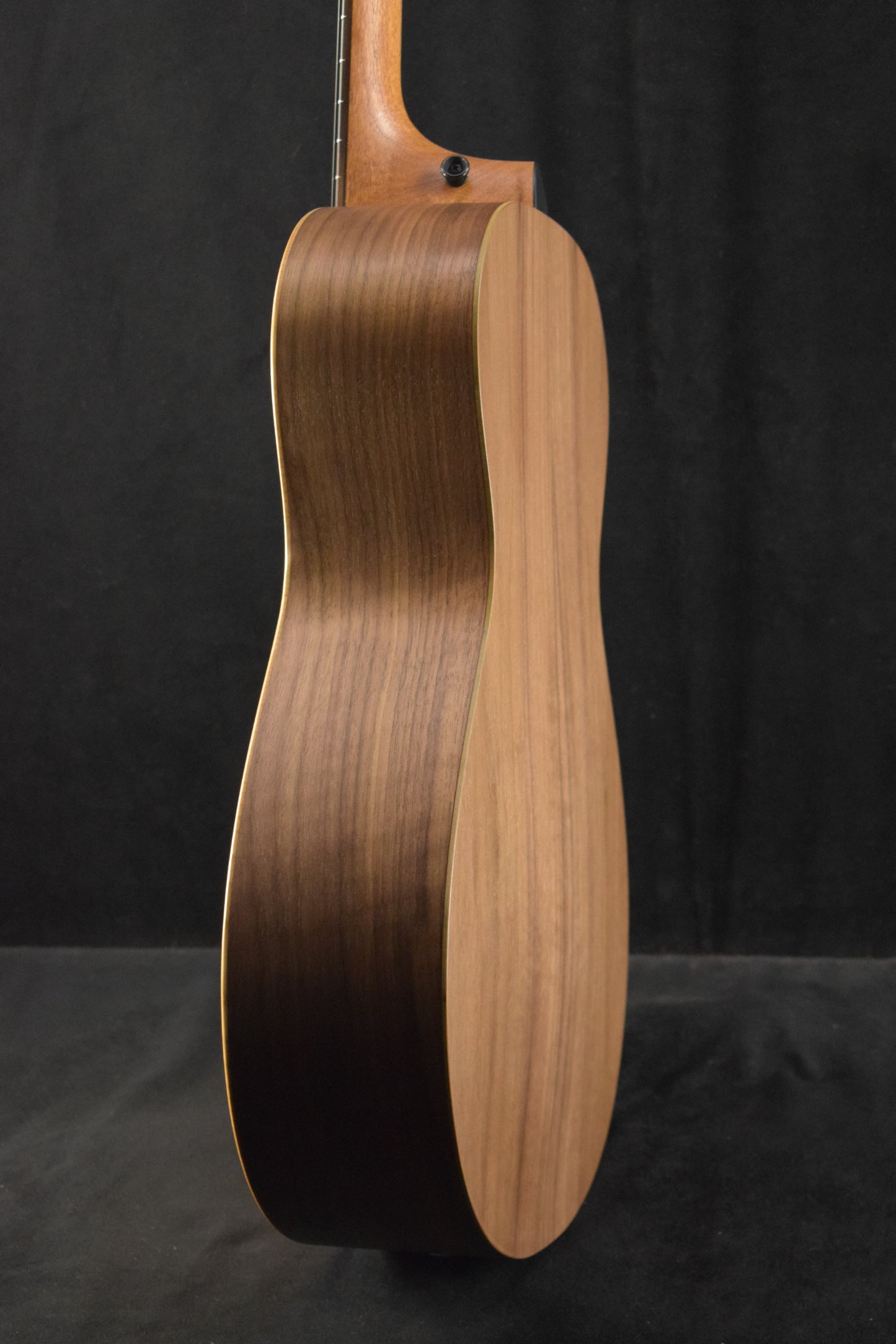 Taylor Academy 12e Natural