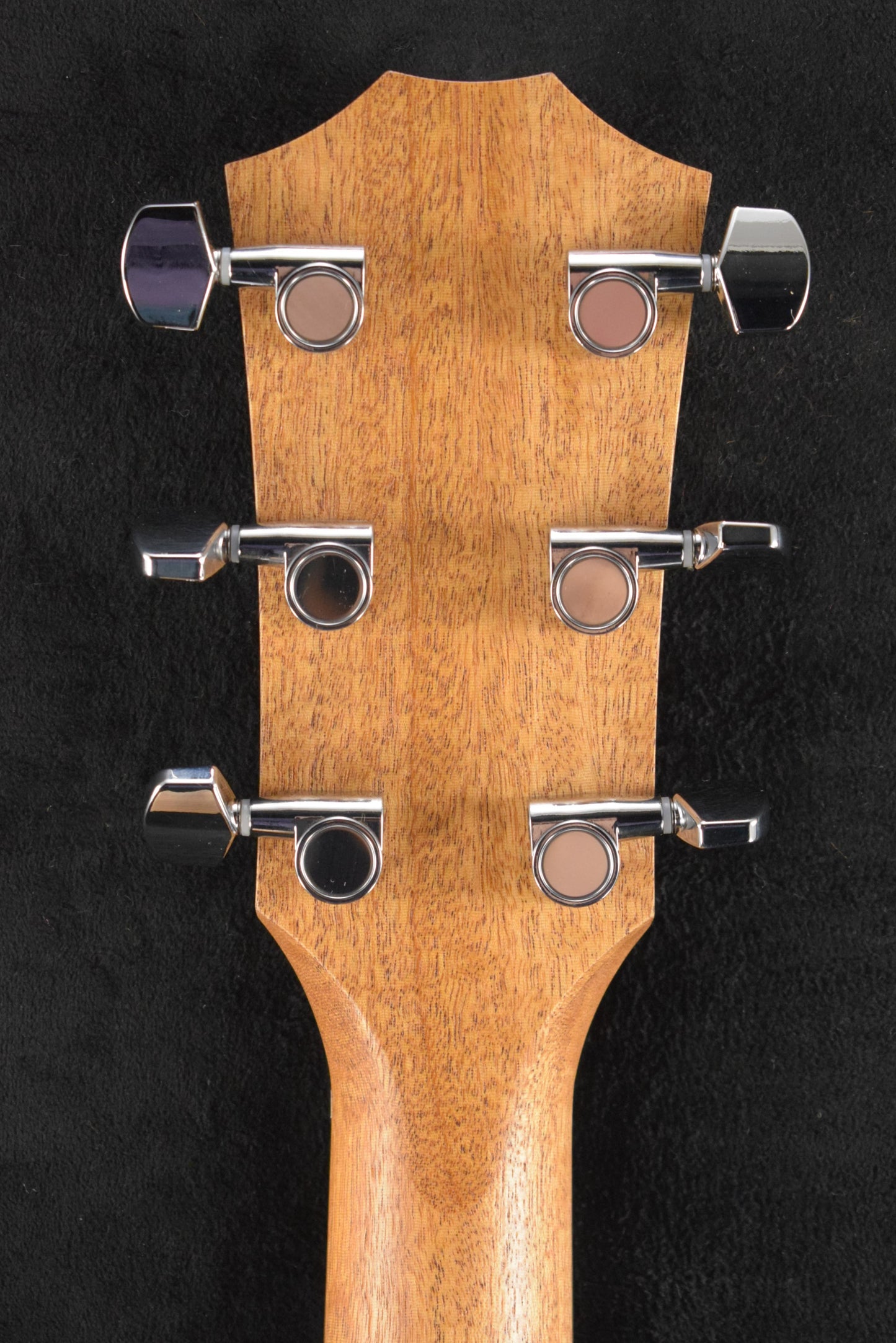 Taylor Academy 12e Natural