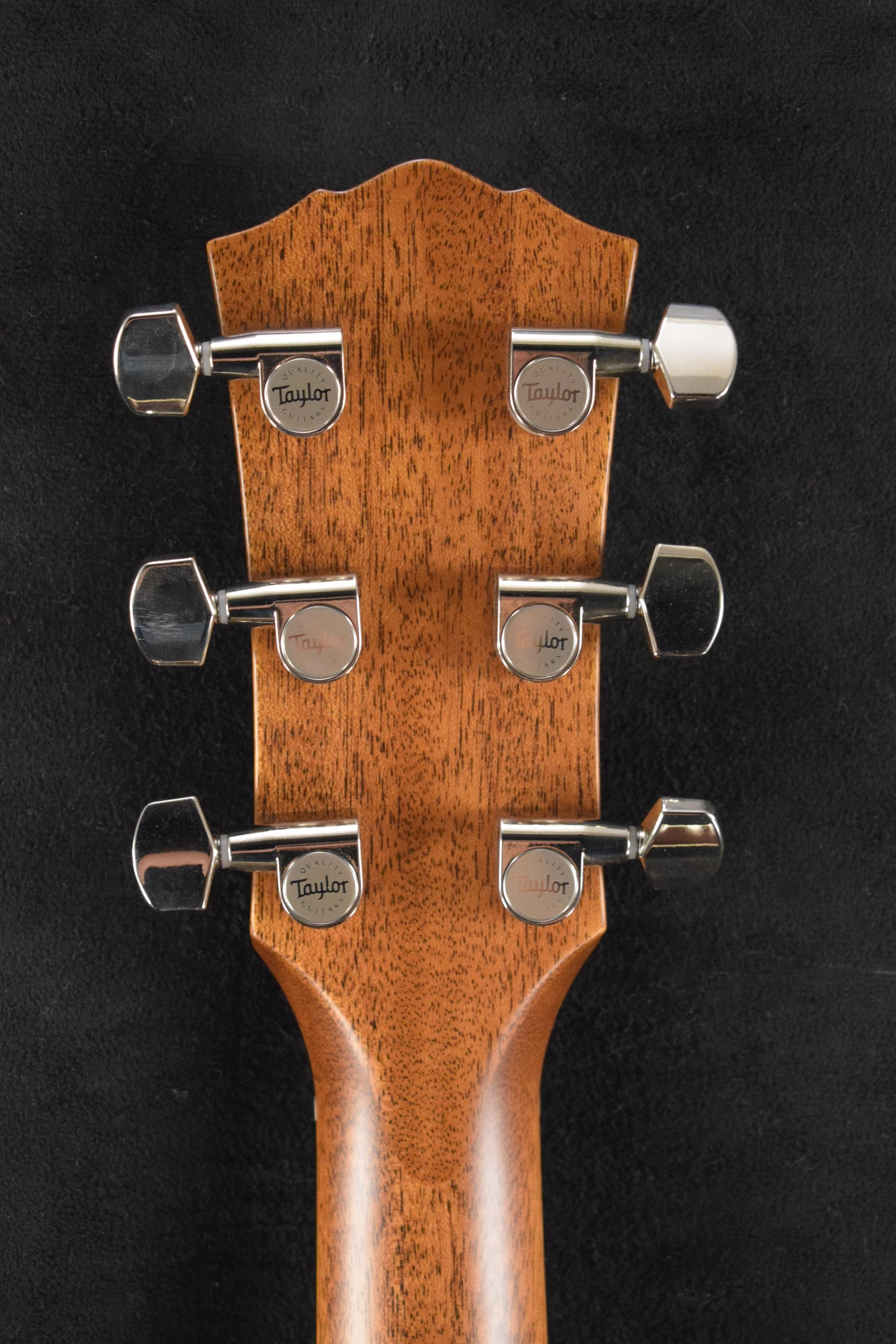 Taylor Gold Label 717e Natural