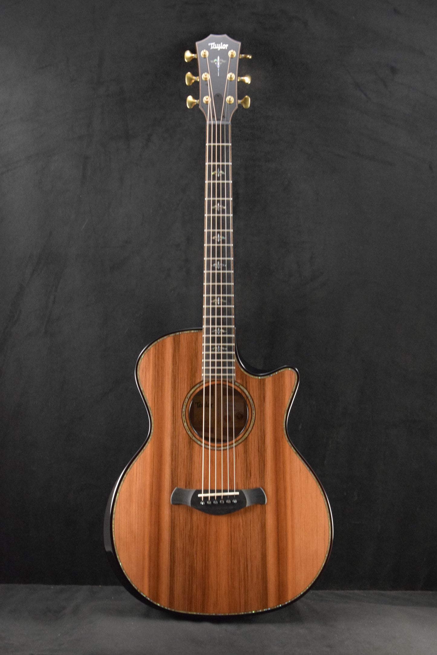 Taylor Next Generation Builder's Edition 914ce Honduran Rosewood/Sinker Redwood